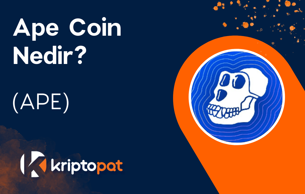 ApeCoin Nedir? Ne İşe Yarar? Yorum ve Geleceği
