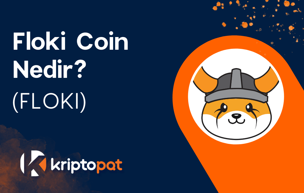 Floki Coin Nedir? Ne İşe Yarar? Yorum ve Geleceği