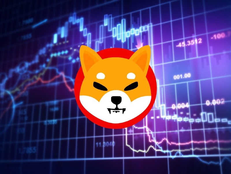 shiba coin nedir