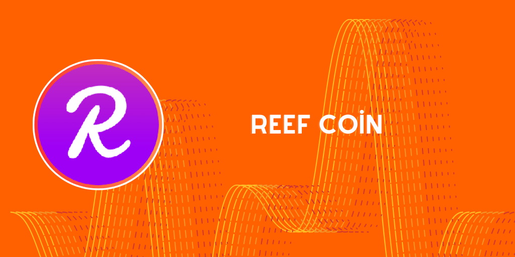 reef coin geleceği