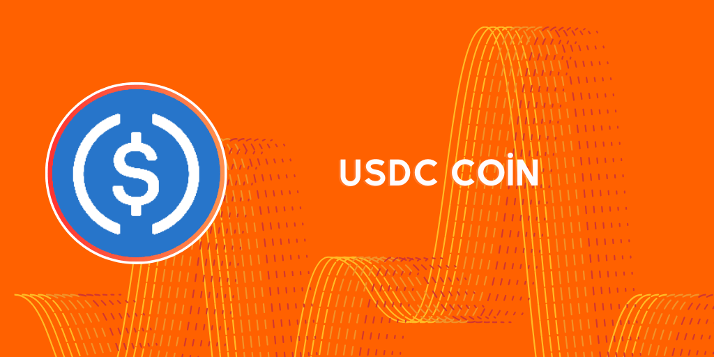 usdc coin geleceği
