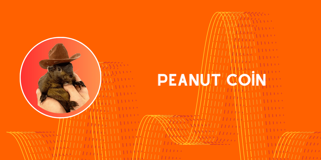 peanut coin-min