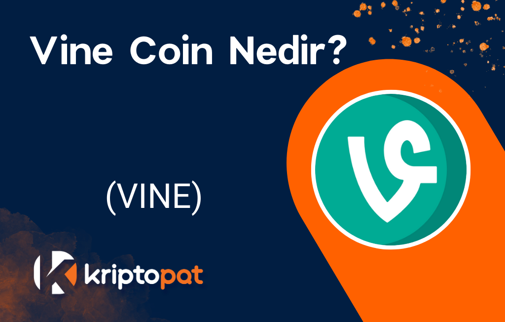 Vine Coin (VINE) Nedir? Ne İşe Yarar? Yorum Ve Geleceği