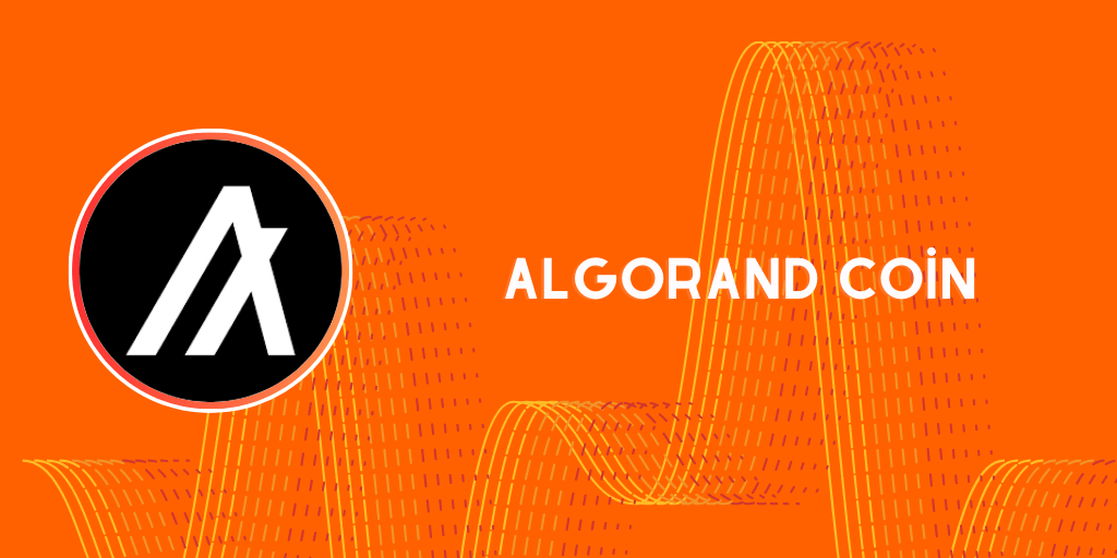 algo coin nedir